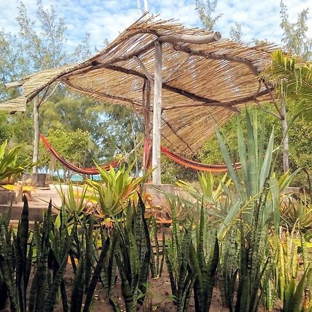 Nzuwa Lodge ペンバ エクステリア 写真