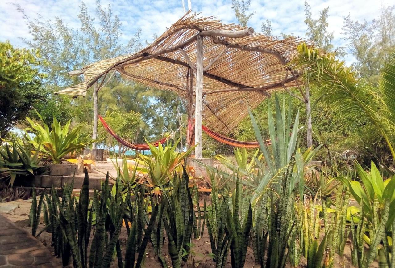 Nzuwa Lodge ペンバ エクステリア 写真