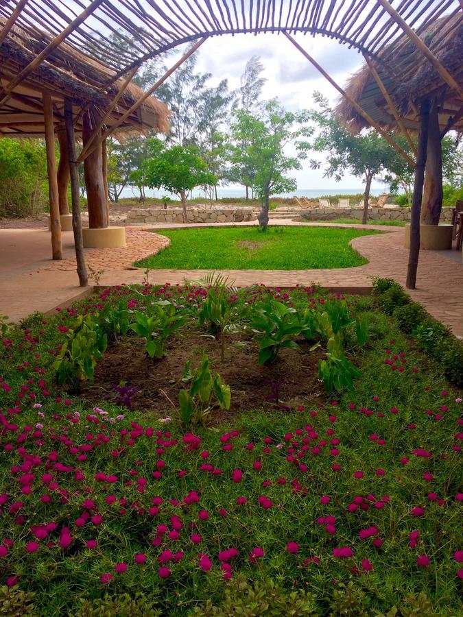 Nzuwa Lodge ペンバ エクステリア 写真